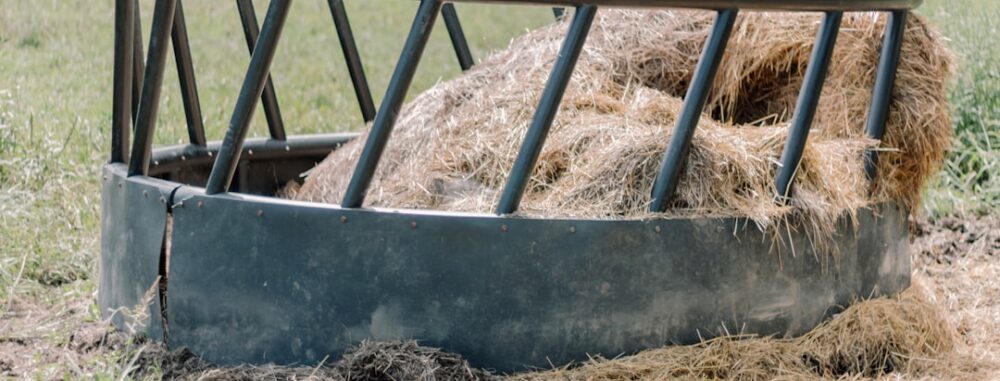 "Bale de foin au milieu d'un champ pour un élevage, trouver un distributeur fourrage adapté à mon élevage facilement."
